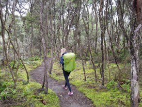 Rotorua & Tarawera Trail